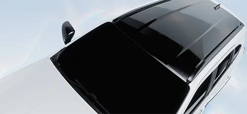 หลังคา BLACK ROOF