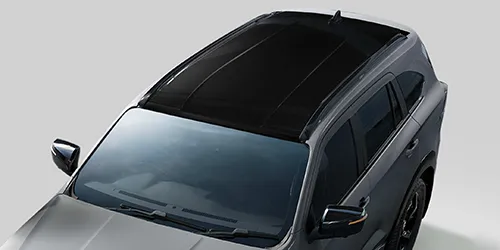 GLOSS BLACK ROOF